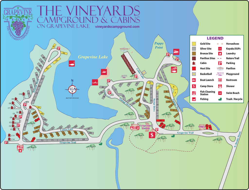 Layout | The Vineyards Campground